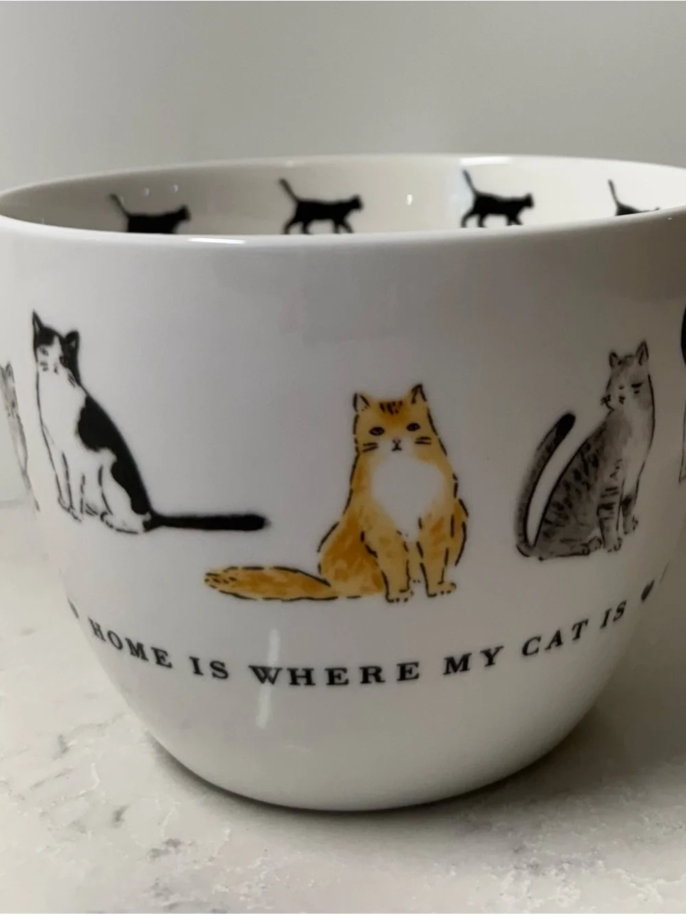 White Ceramic Cat Mug W/Multicolor Cat Illustrations “Home Is Where My Cat Is”